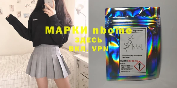индика Богданович
