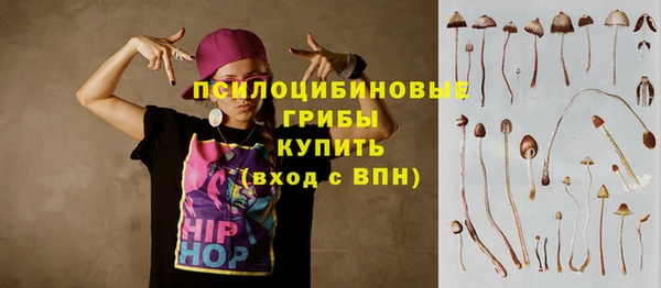 мдпв Богородицк