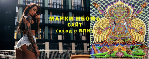 индика Богданович