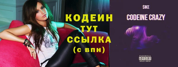 индика Богданович