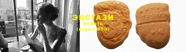 индика Богданович