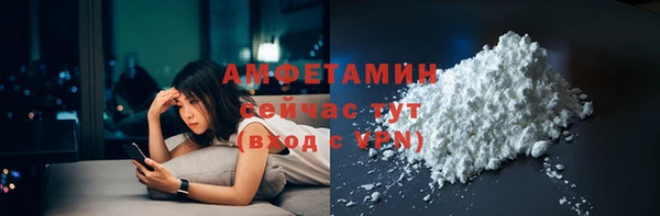индика Богданович