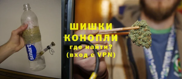 индика Богданович
