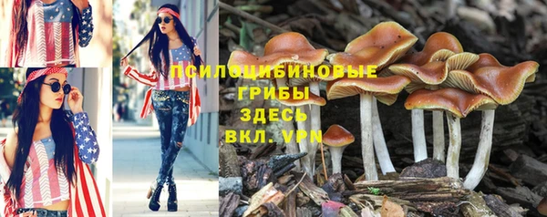 каннабис Тында