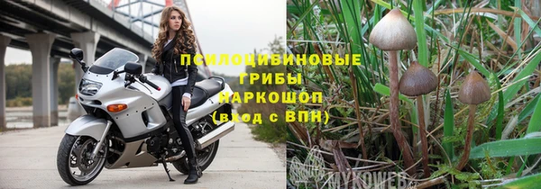 индика Богданович