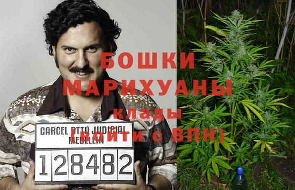 мдпв Богородицк