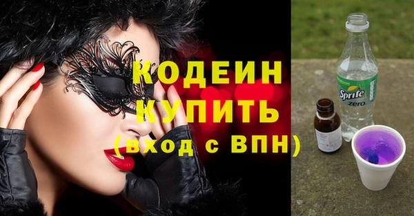 мдпв Богородицк