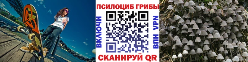 Псилоцибиновые грибы мухоморы  закладки  Могоча 